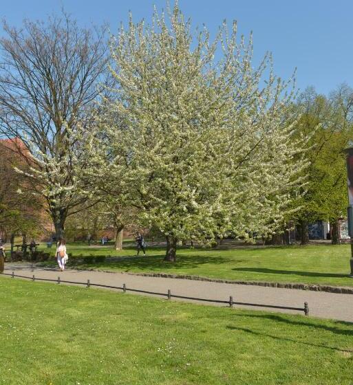 Five Point Hostel & Apartments