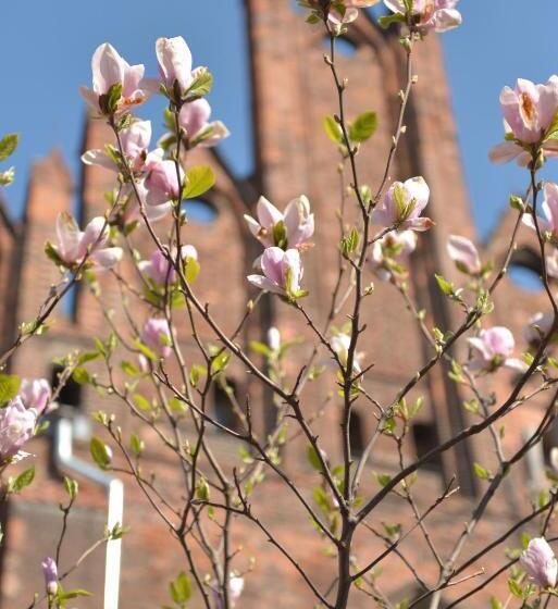 Five Point Hostel & Apartments