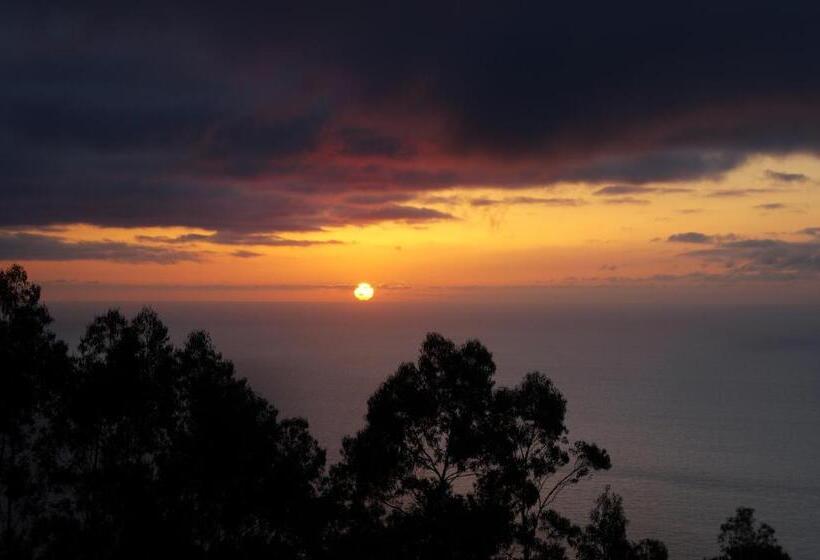 בית מלון כפרי Casa Das Proteas