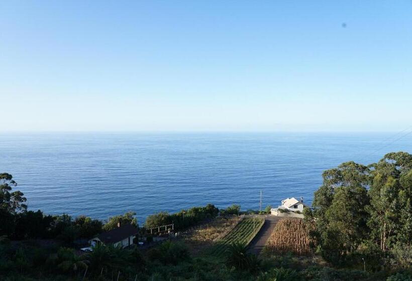 בית מלון כפרי Casa Das Proteas