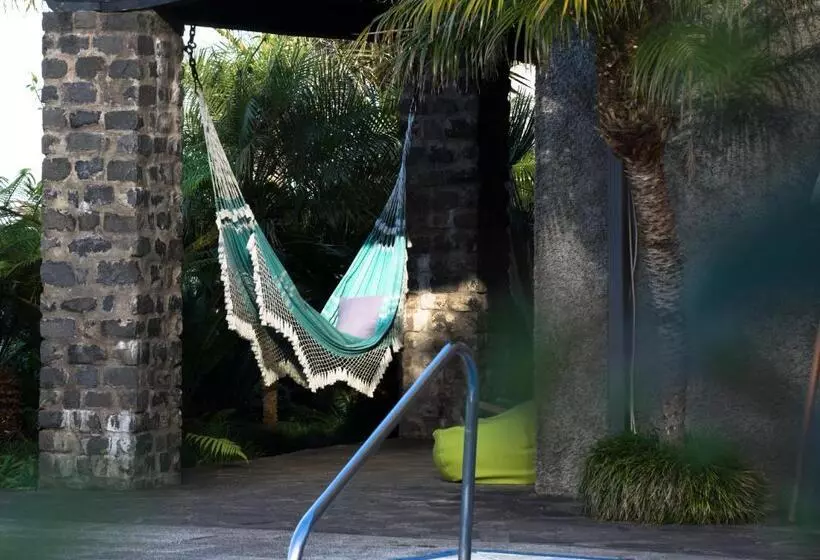 ホテル Casa Das Proteas