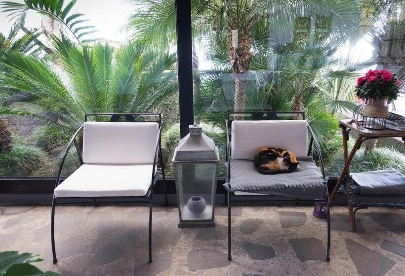 בית מלון כפרי Casa Das Proteas