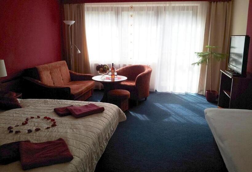 Hotelli Centrum Harrachov