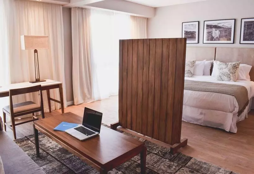 ホテル Cyan Soho Neuquen