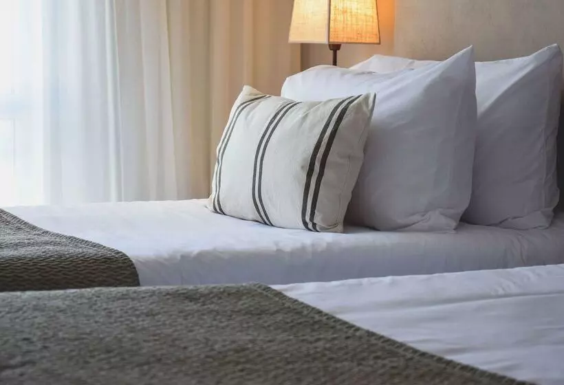 ホテル Cyan Soho Neuquen