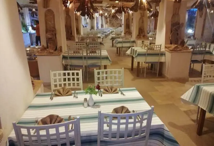 ホテル Medina Les Quatre Saisons Aqua Park Resort & Thalasso Djerba