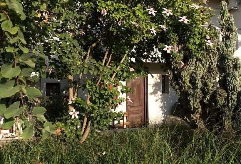 ホテル Proimos Apartments