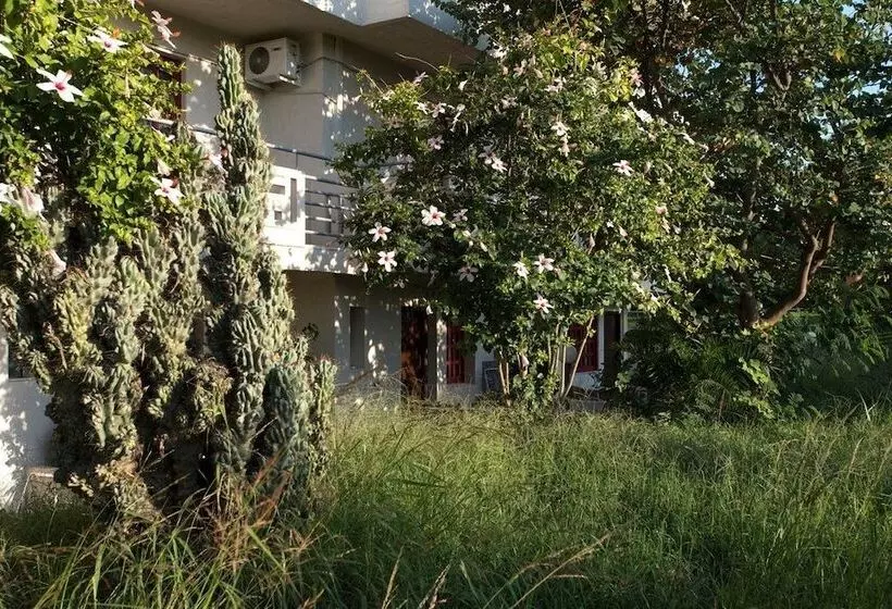 ホテル Proimos Apartments