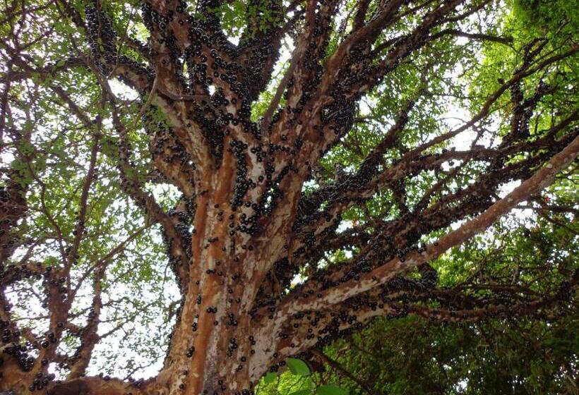 فندق Solar Dos Montes