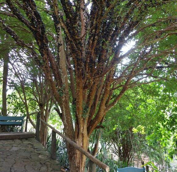 فندق Solar Dos Montes