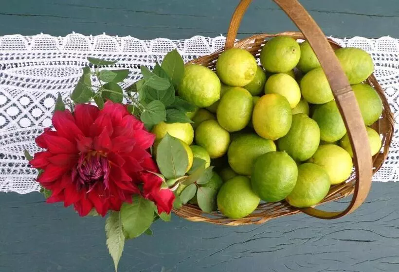 Hotelli Solar Dos Montes