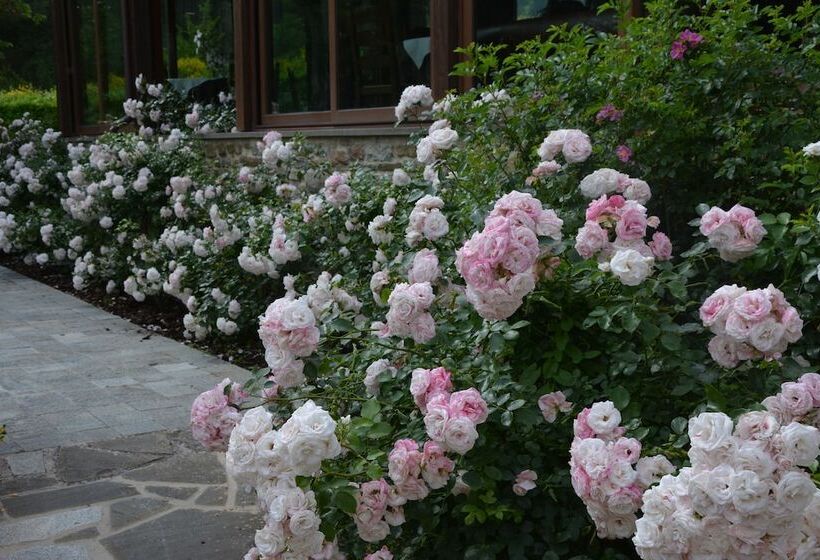 酒店 Abbazia San Faustino Residenza D'epoca