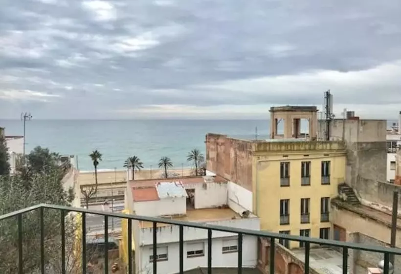 ユースホステル Hostal Casa Torrent