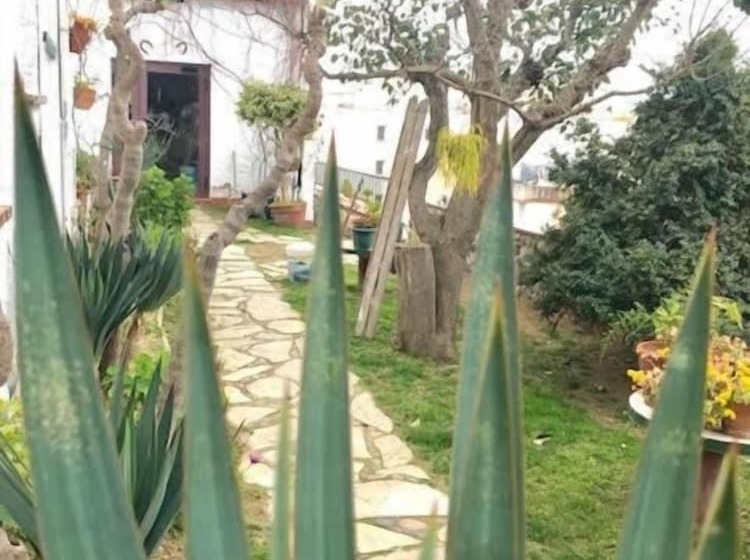 ユースホステル Hostal Casa Torrent