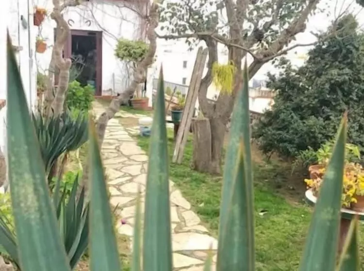 ユースホステル Hostal Casa Torrent