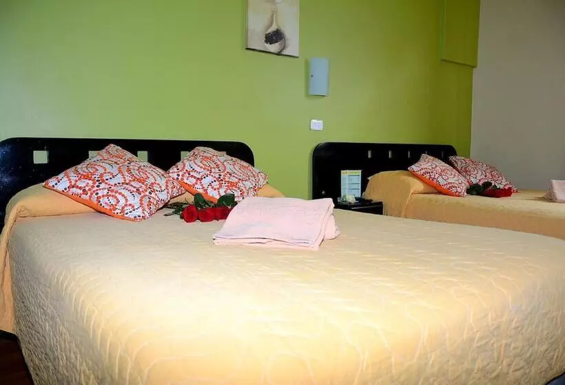 ユースホステル Hostal Terra 1   Andalucía
