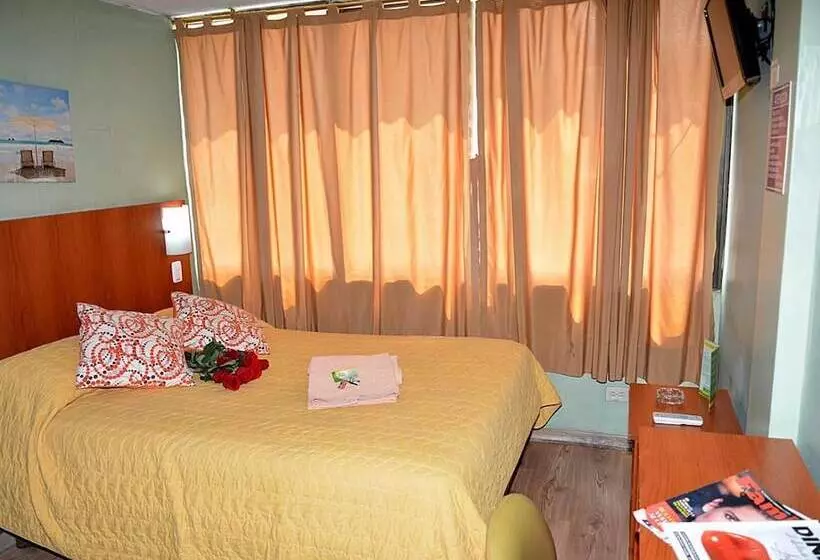 ユースホステル Hostal Terra 1   Andalucía