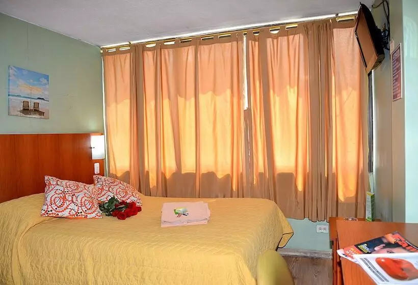 ユースホステル Hostal Terra 1   Andalucía