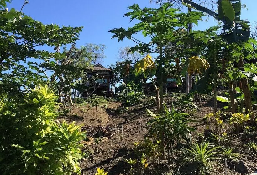 Hill Top Resort