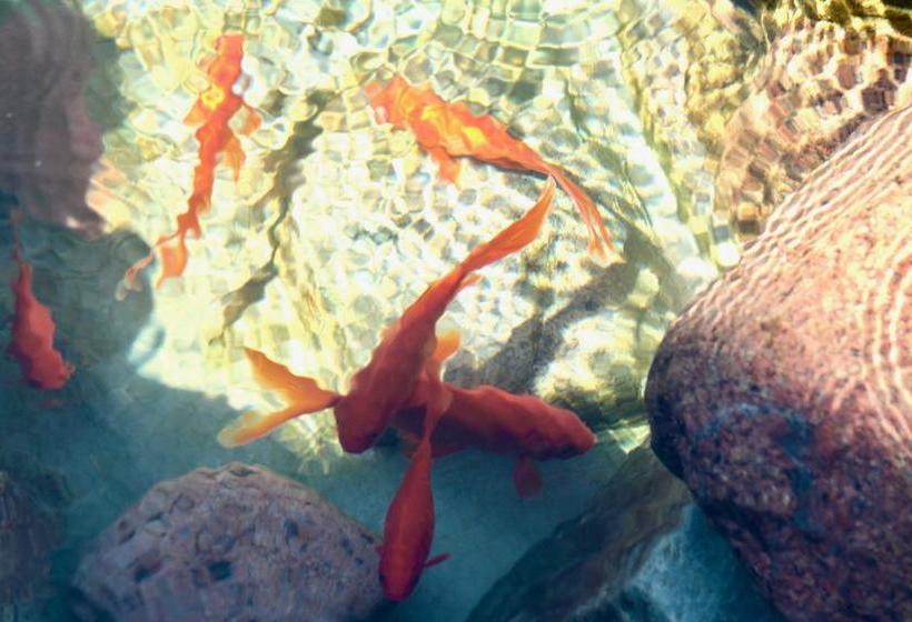 Boutique Vila Artemide