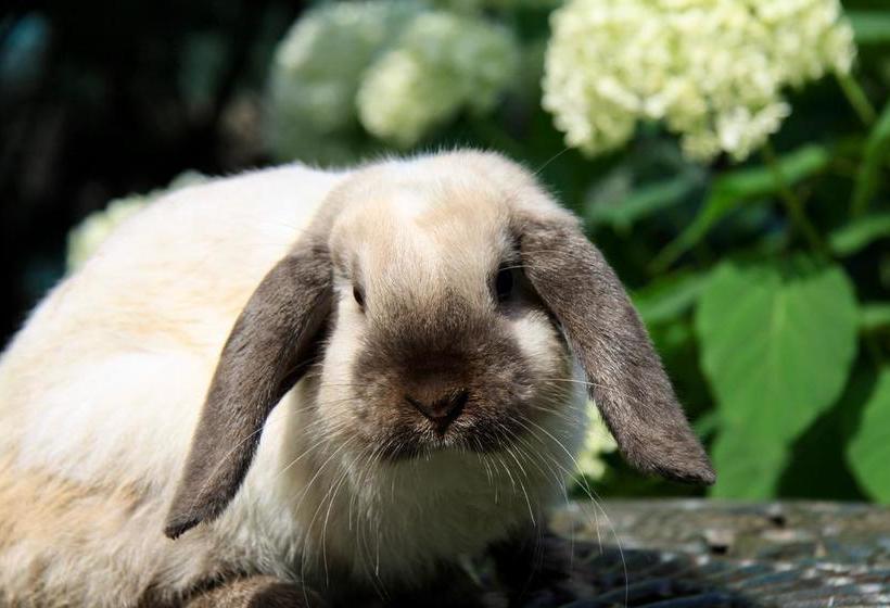 Boutique Vila Artemide