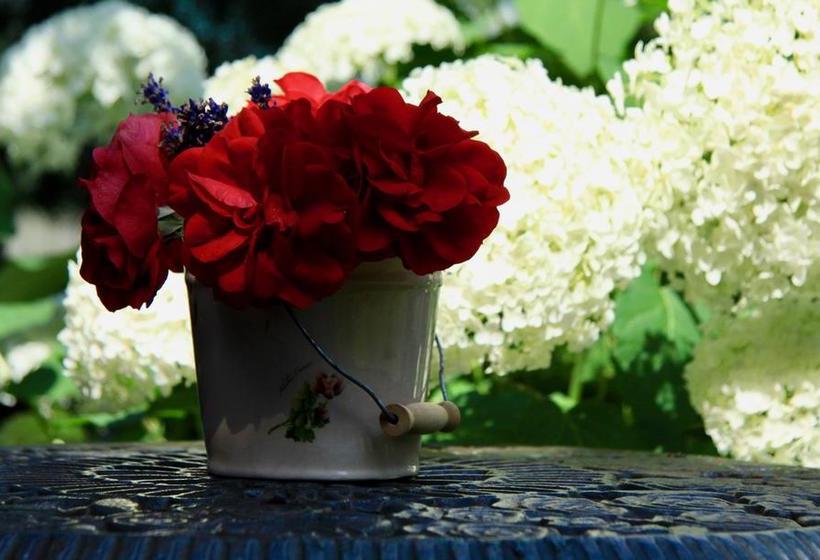 Boutique Vila Artemide