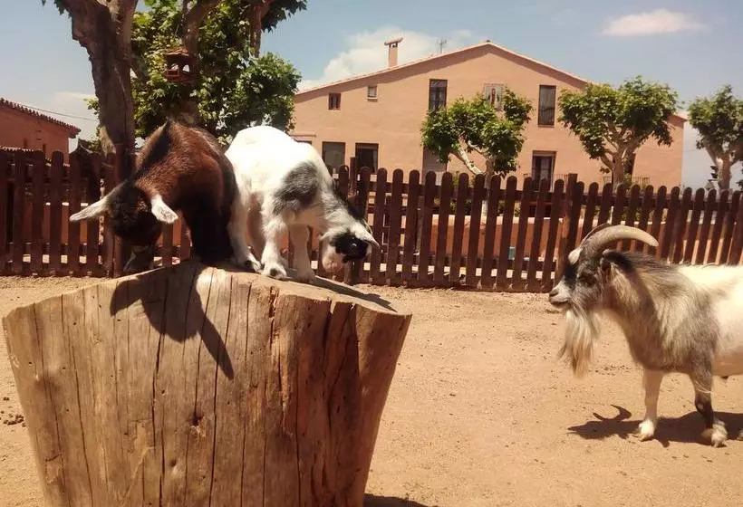 ホテル Masia Can Sala