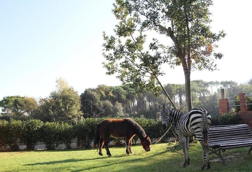 هتل Masia Can Sala