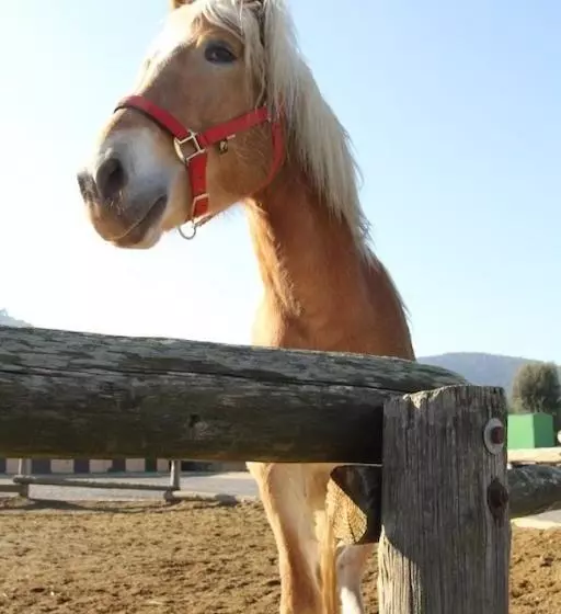 ホテル Masia Can Sala