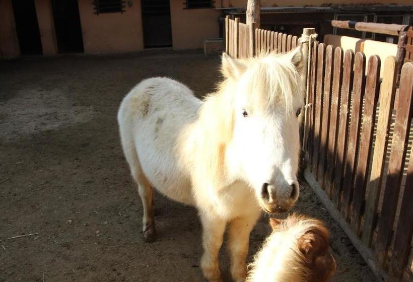 هتل Masia Can Sala