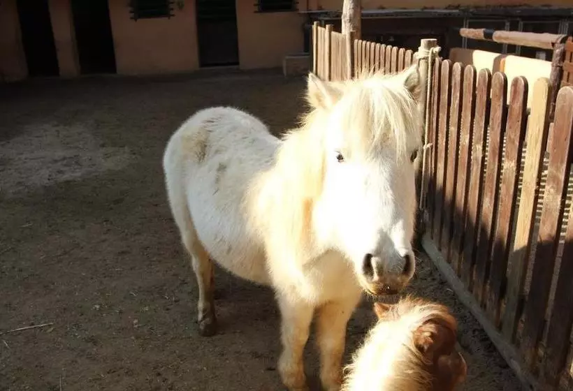 ホテル Masia Can Sala