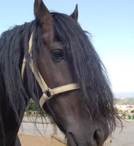 ホテル Masia Can Sala