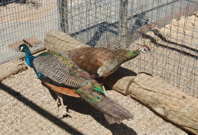 ホテル Masia Can Sala