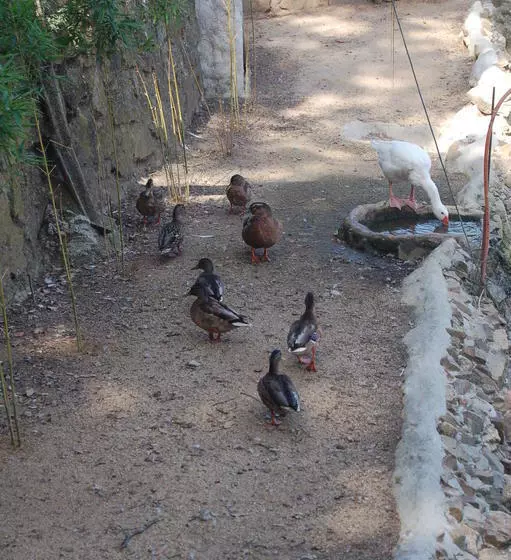 ホテル Masia Can Sala