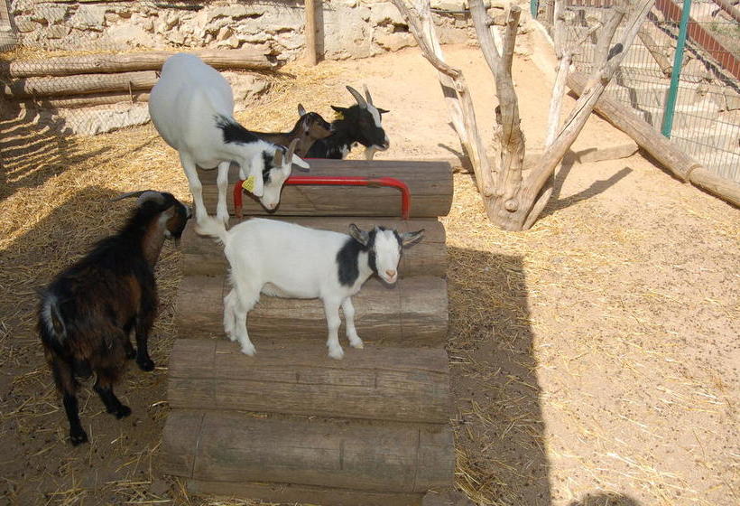 هتل Masia Can Sala