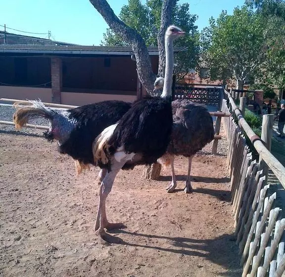 ホテル Masia Can Sala