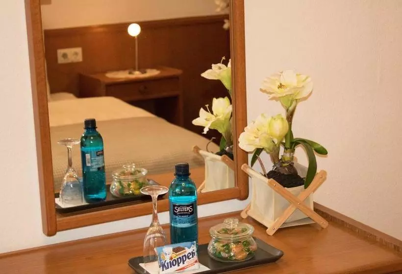 ホテル Stadt Rüsselsheim