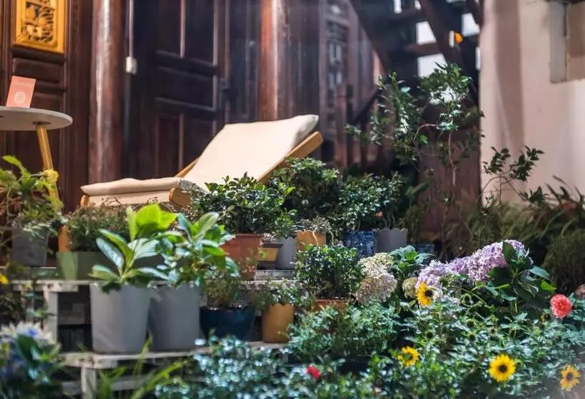 Retkeilymaja Tuo Tuo Guest House