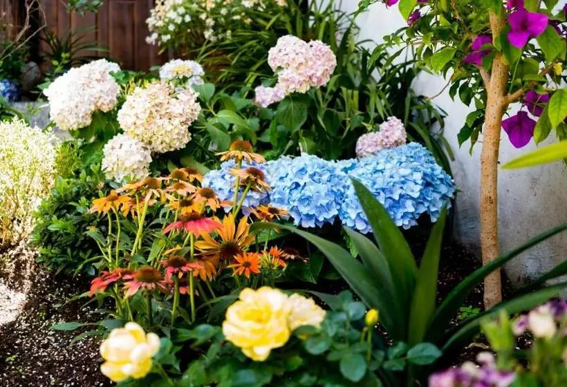 Retkeilymaja Tuo Tuo Guest House