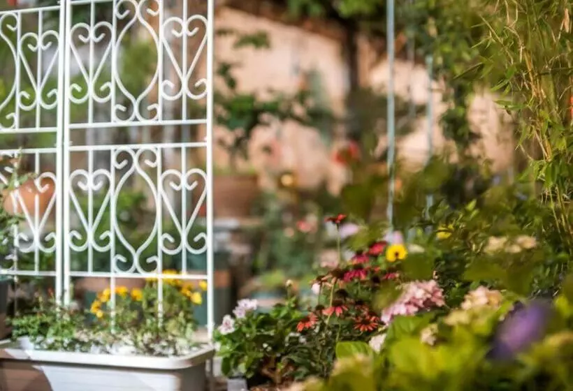 Retkeilymaja Tuo Tuo Guest House