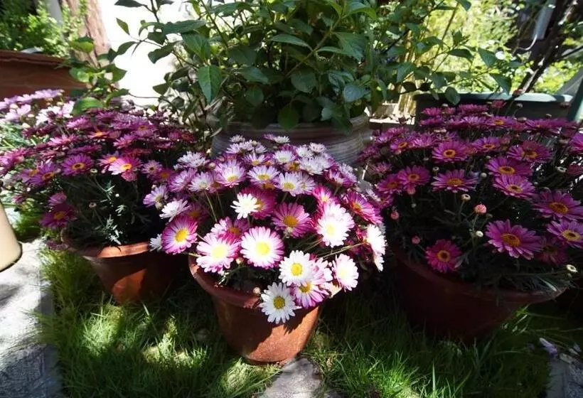 Retkeilymaja Tuo Tuo Guest House