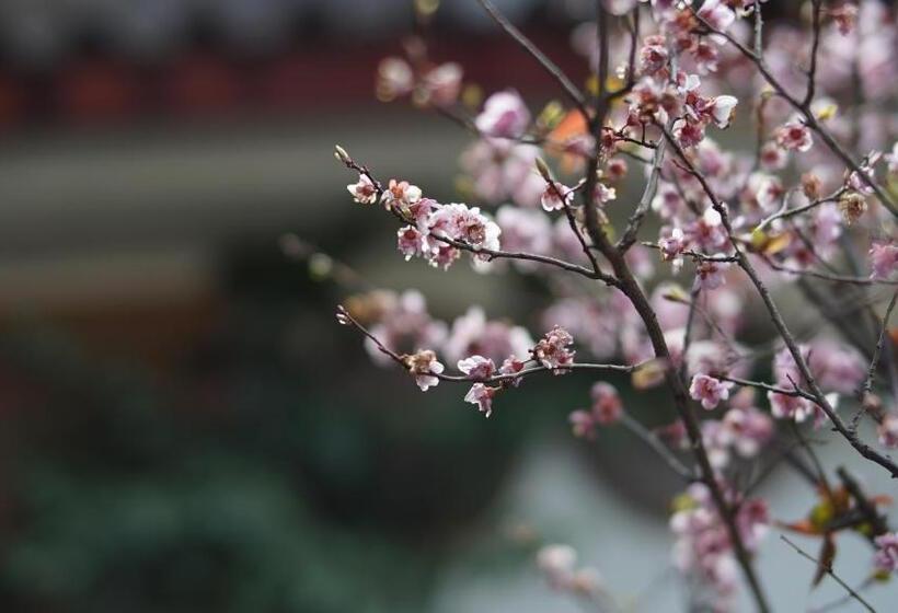 旅馆 Tuo Tuo Guest House