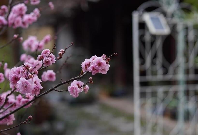 旅馆 Tuo Tuo Guest House