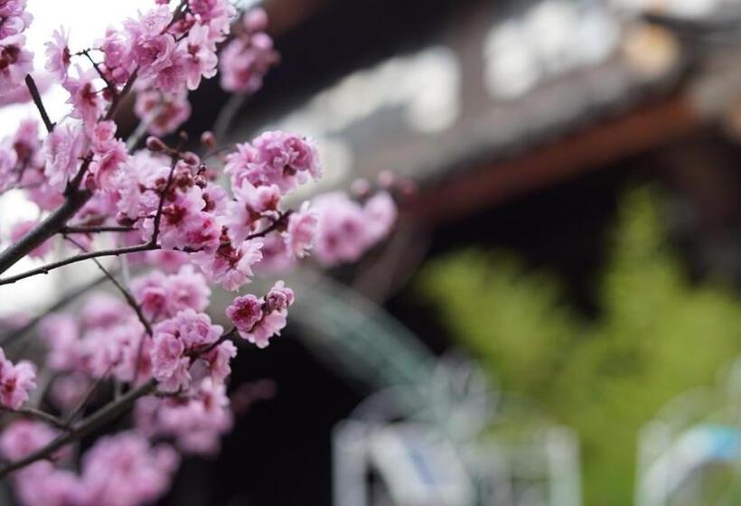 旅馆 Tuo Tuo Guest House