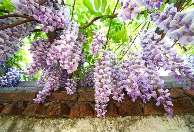 Retkeilymaja Tuo Tuo Guest House