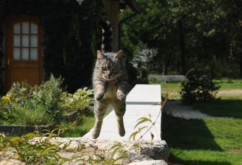 Bed & Breakfast Domaine De La Pépinière