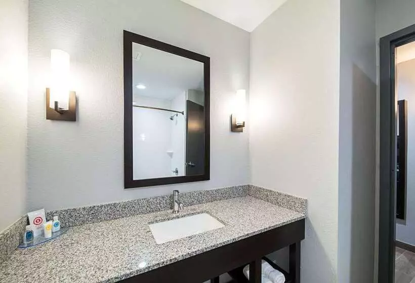 Hotelli Comfort Inn & Suites Oklahoma City Near Bricktown