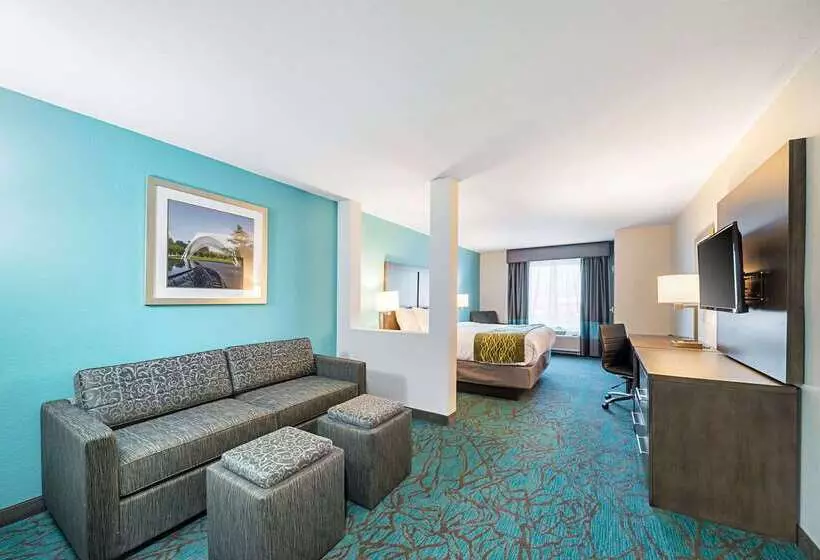 Hotelli Comfort Inn & Suites Oklahoma City Near Bricktown