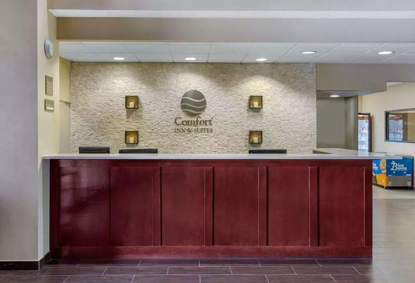 ホテル Comfort Inn & Suites Sw Houston Sugarland