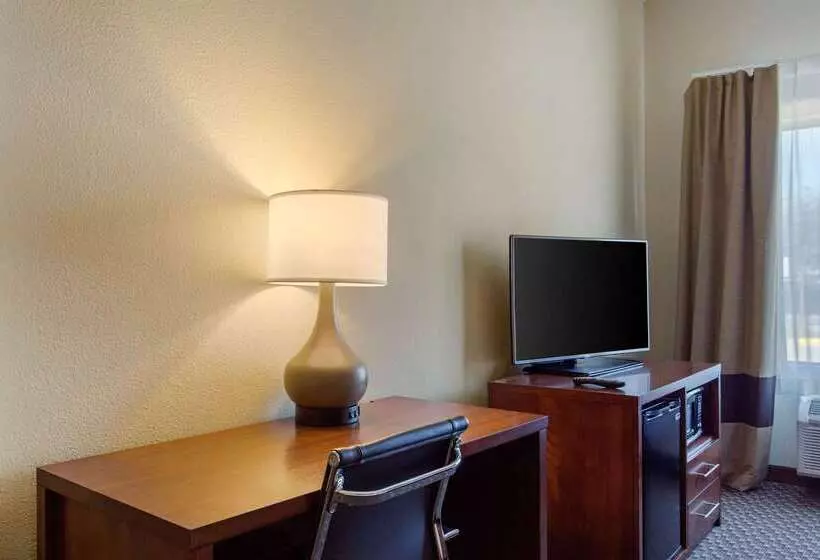 ホテル Comfort Inn & Suites Sw Houston Sugarland